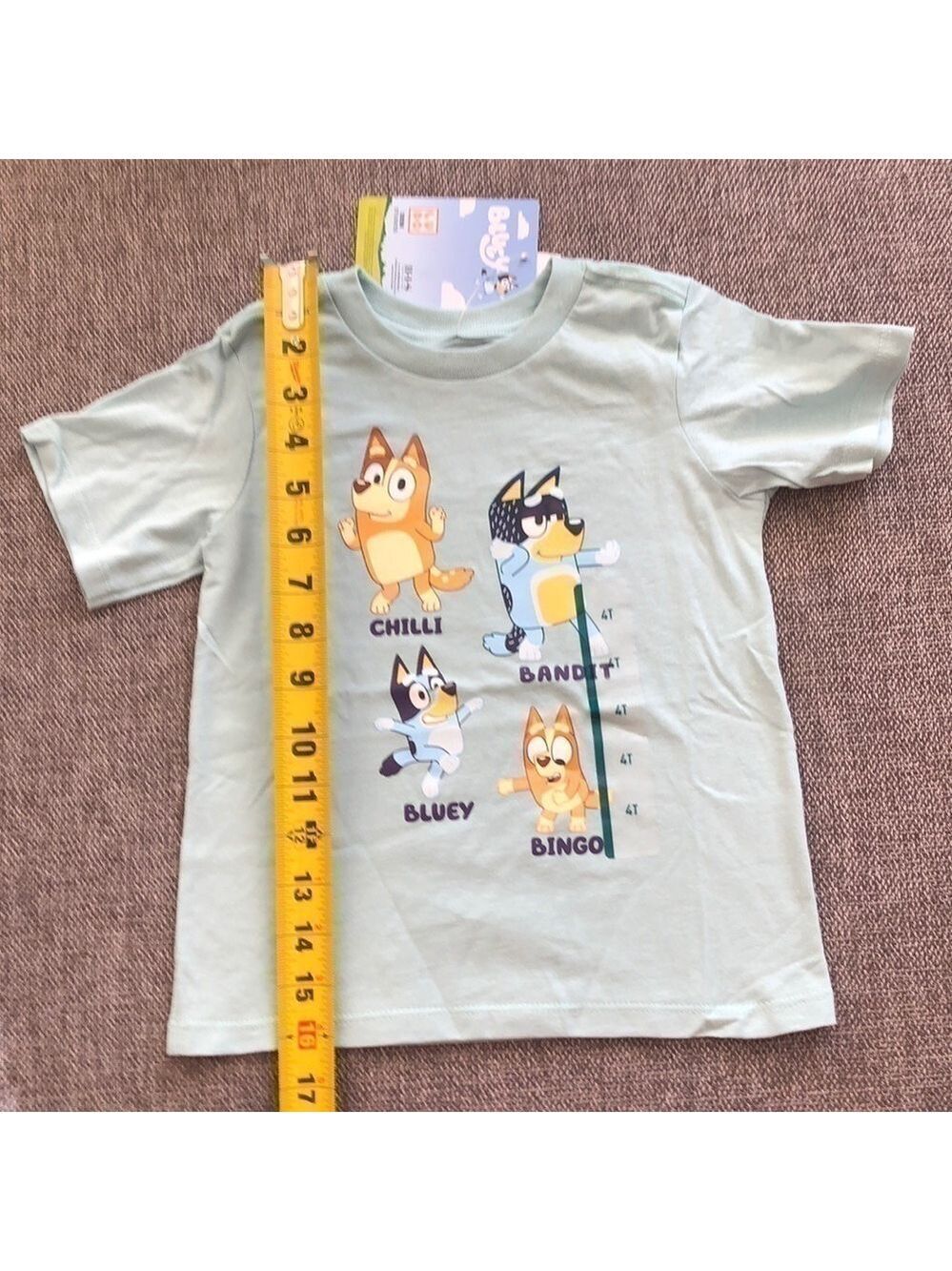 MOOSE Toddler Boy Girl Bluey Printed Short Sleeve T-Shirt Green 4T - Picture 8 of 8